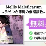 Mellis Maleficarum~うそつき悪魔の催淫調教~