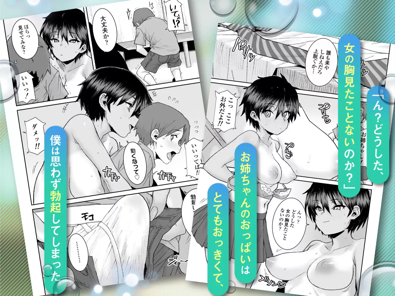 無口で気の強いボーイッシュなお姉ちゃんで僕は童貞を卒業しました 2ページ目