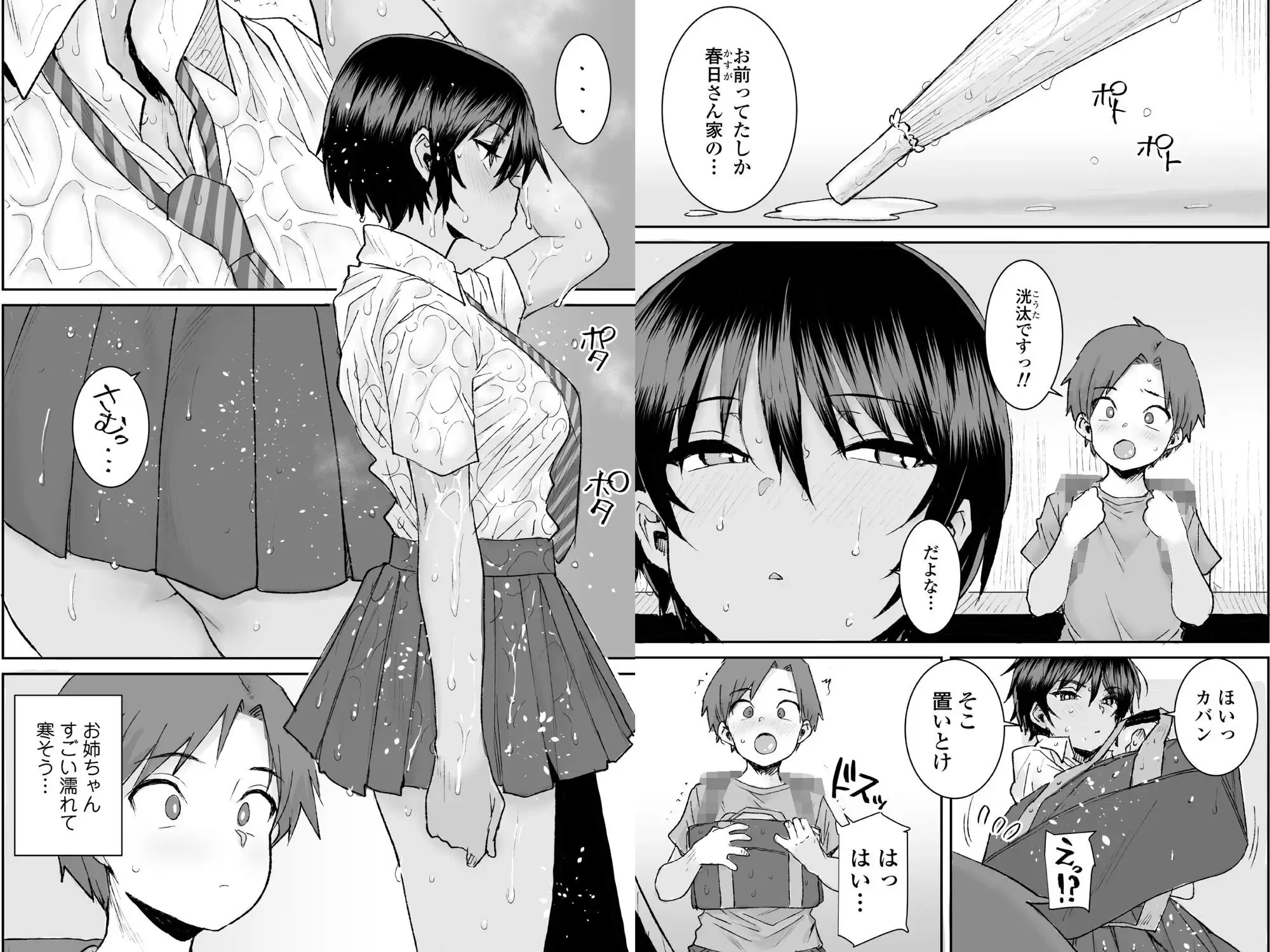 無口で気の強いボーイッシュなお姉ちゃんで僕は童貞を卒業しました 5ページ目