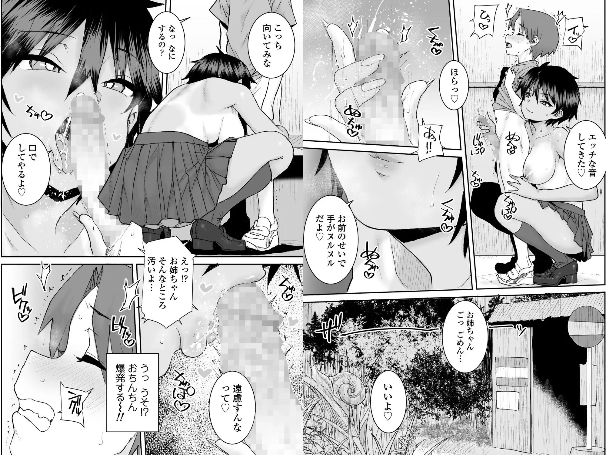 無口で気の強いボーイッシュなお姉ちゃんで僕は童貞を卒業しました 9ページ目